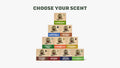 Bar Soap 10-Pack - Find a Better Way to Lather