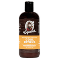 Conditioner Subscription - 1 Bottle - Level Up Your Lather