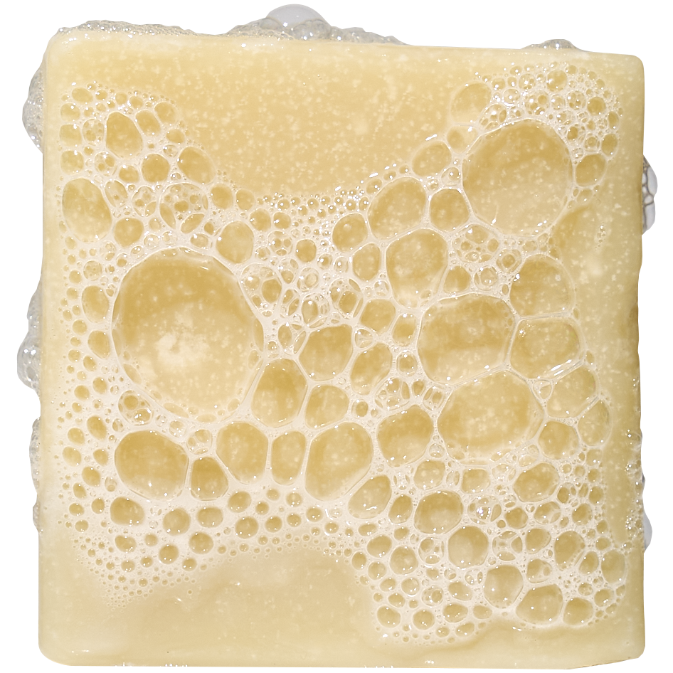 Bay Rum Mini - Smell Like You Tried