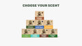 Bar Soap 8-Pack - Your Clean Routine Upgrade