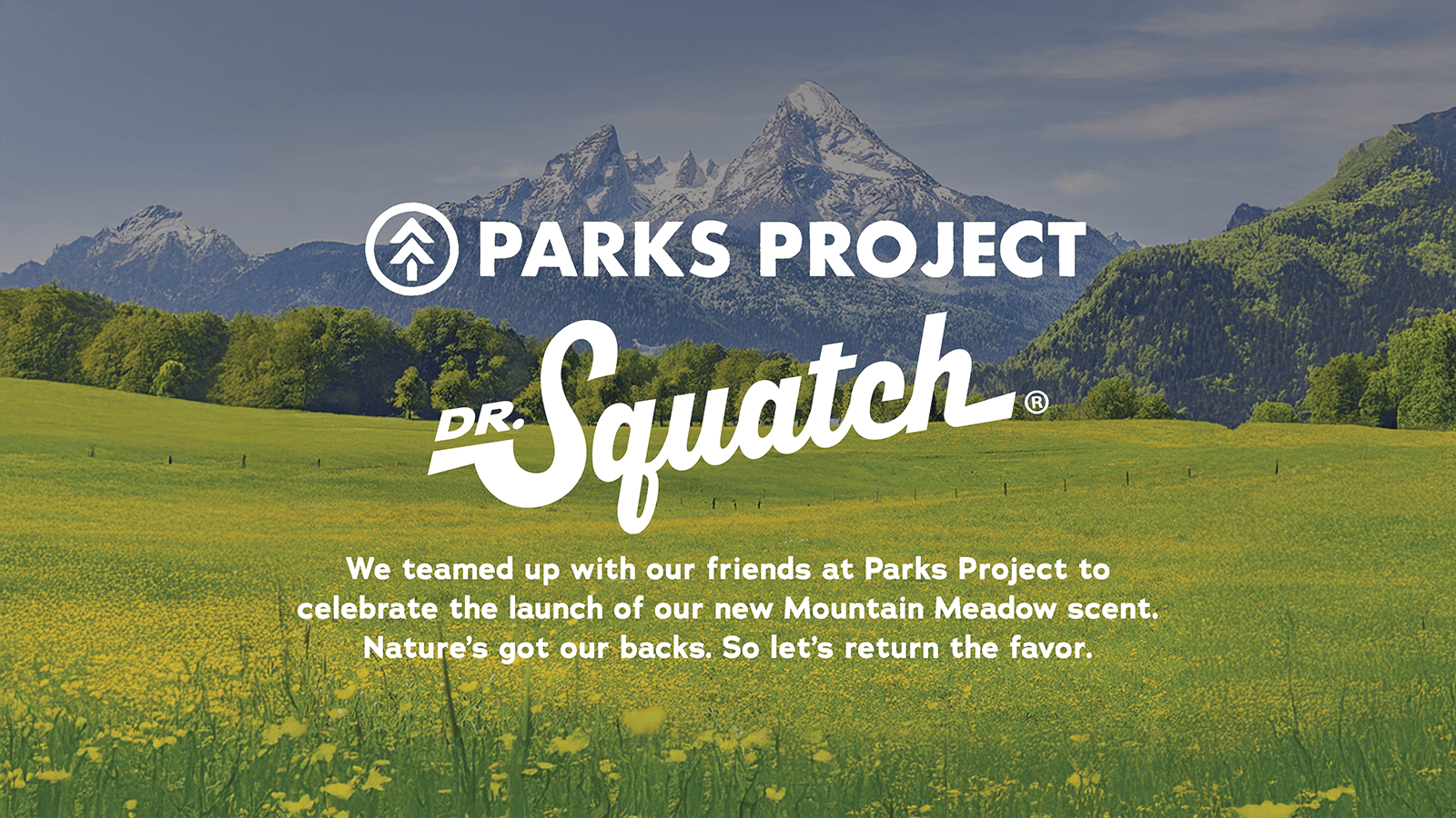 Parks Project Insert - Clean Made for Real Life
