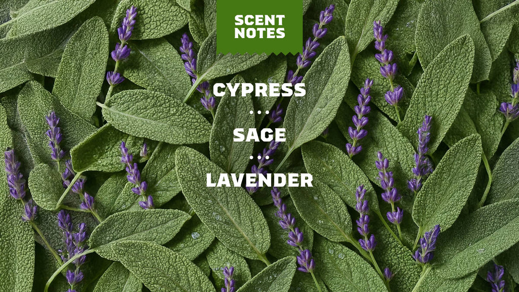Alpine Sage - Your Go To Fresh Bar