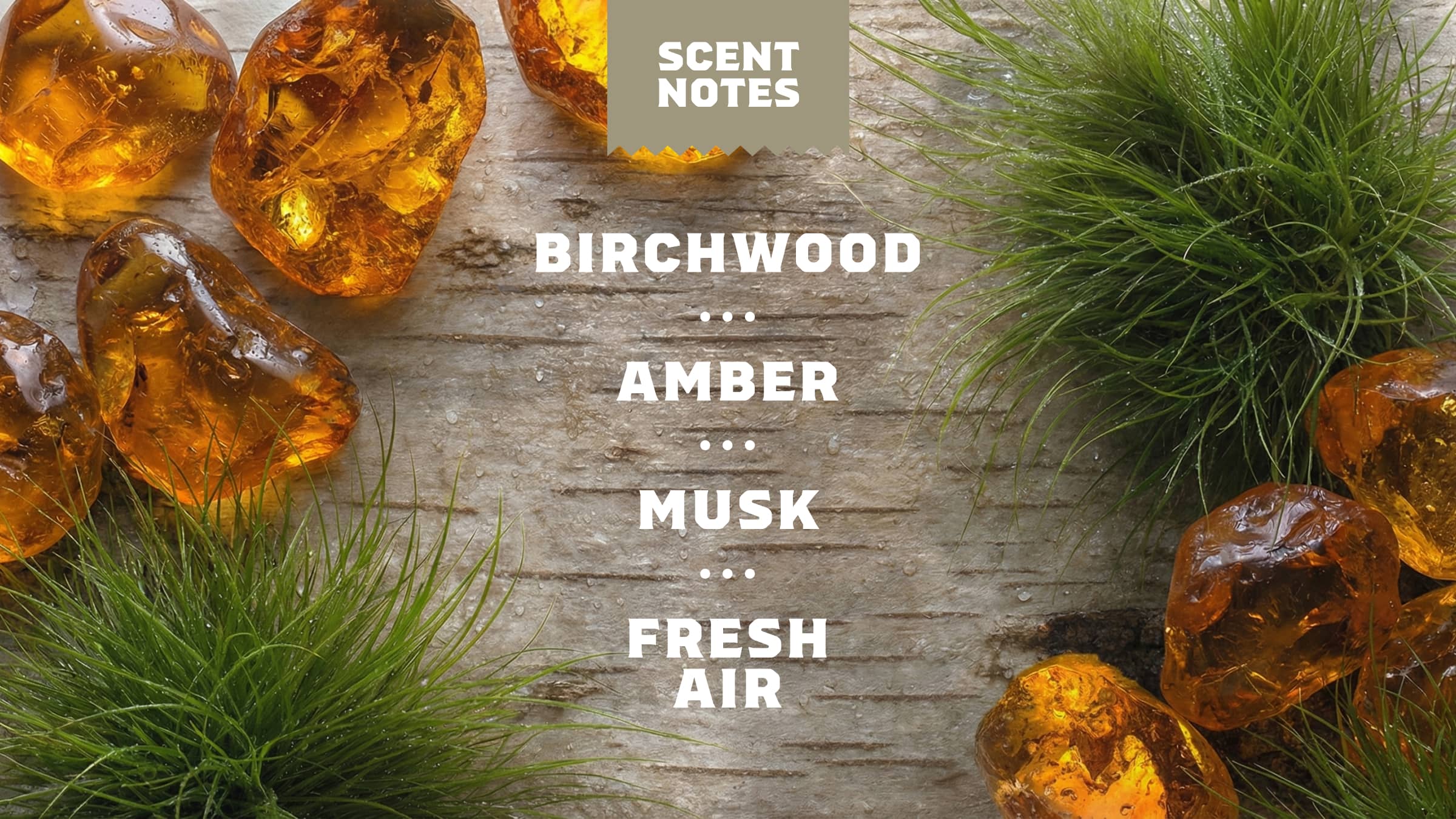 14 oz Birchwood Breeze Body Wash - Stay Fresh After the Shower
