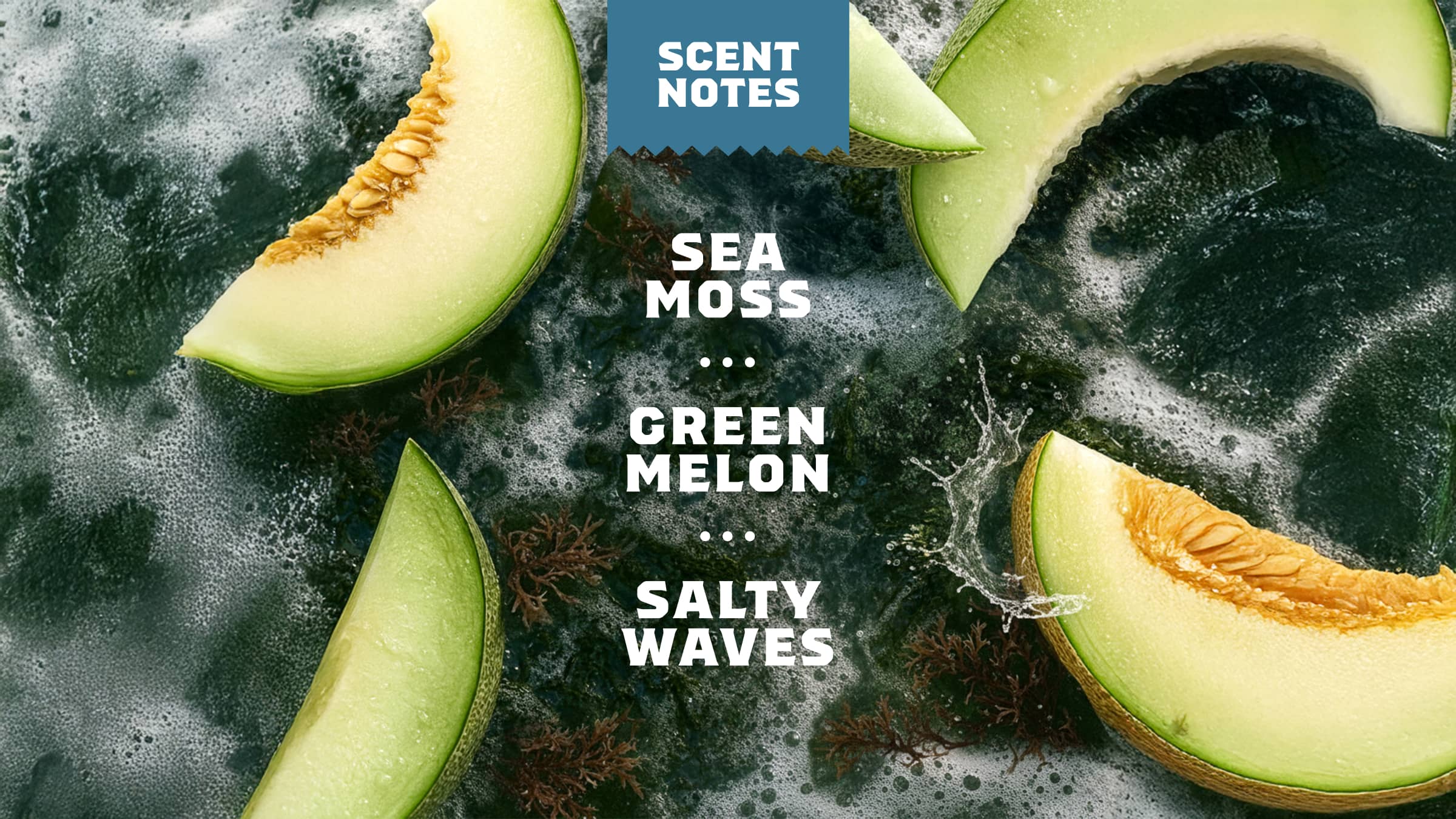 Coastal Mist Deodorant - Build a Better Soap Routine