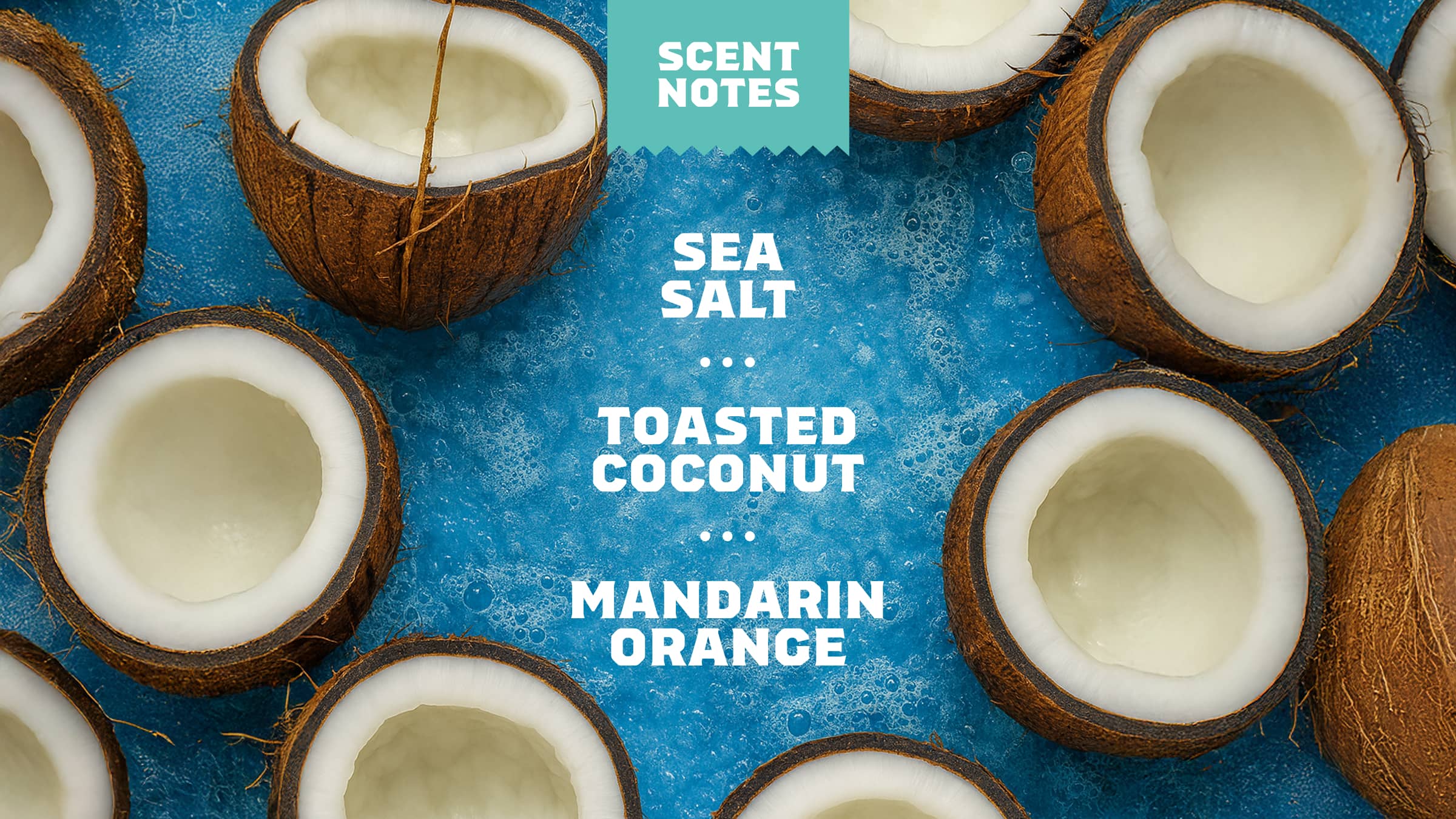 Coconut Castaway Conditioner - Make Mornings Smell Better
