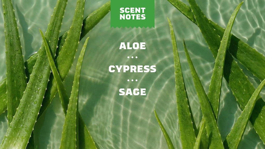 14 oz Cool Fresh Aloe Body Wash - Wash Up and Win the Day
