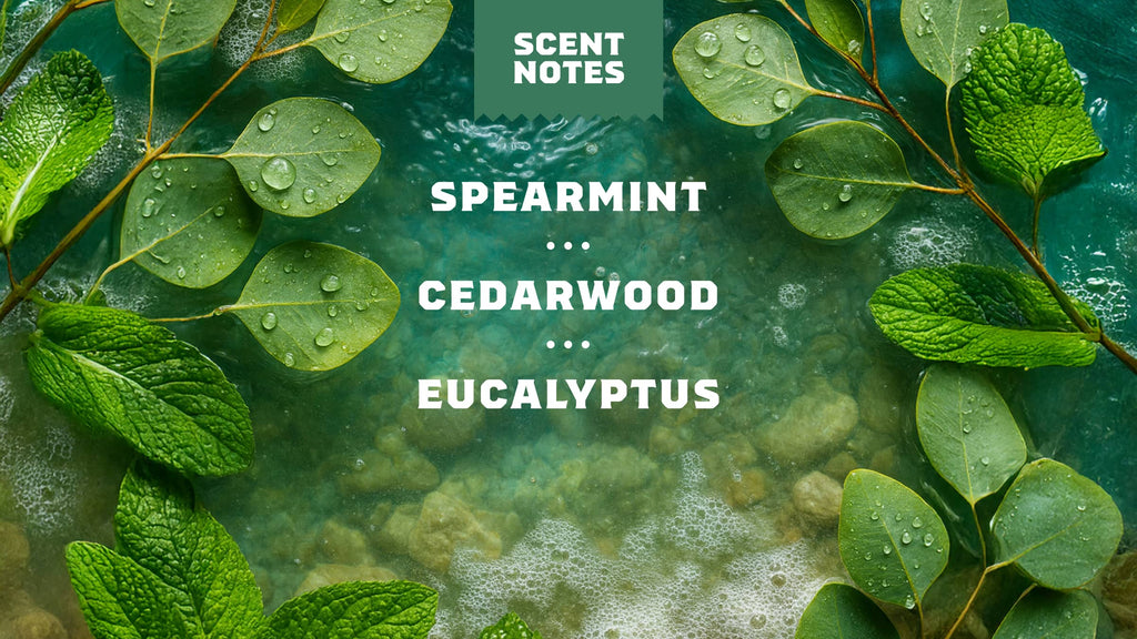 Rainforest Rapids Precision Deo - A Fresh Take on Soap