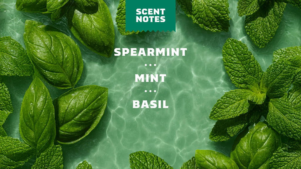 Spearmint Basil - Freshen Your Shower Game