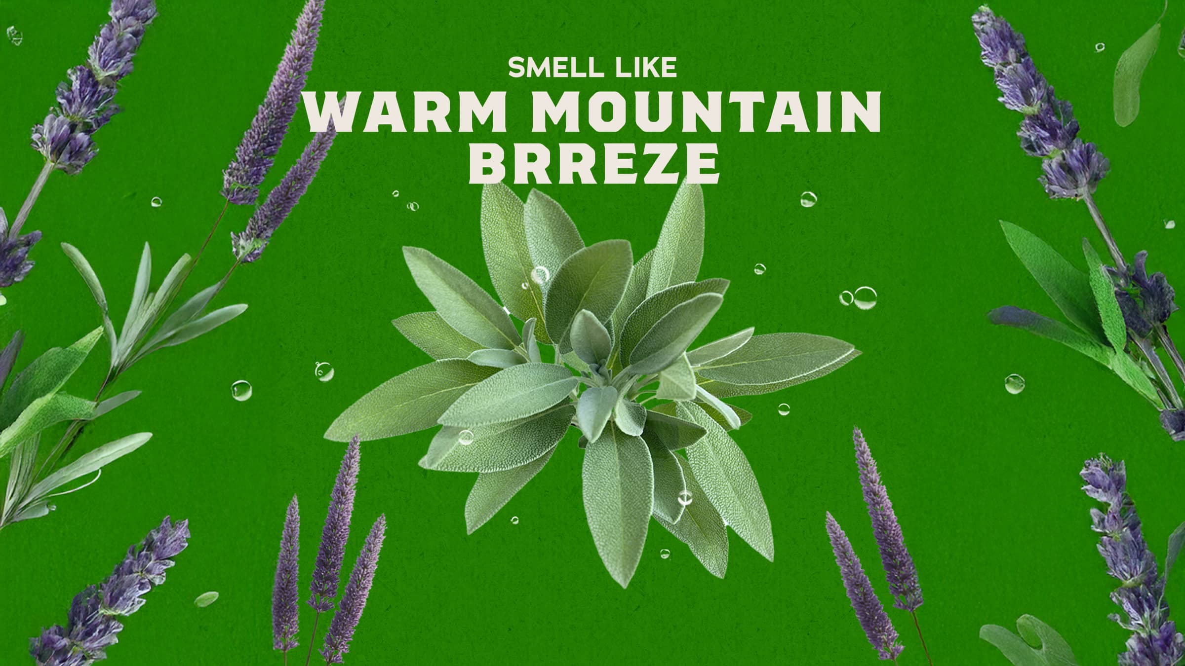 Alpine Sage Deodorant - Soap Built for Men