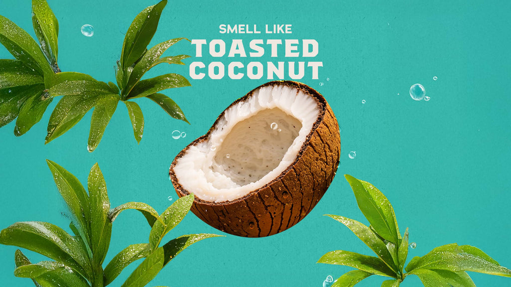 14 oz Coconut Castaway Body Wash - Send Dirt Out and Fresh In