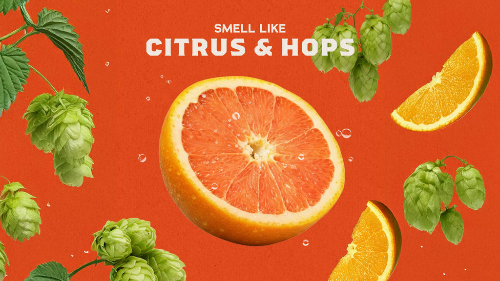 Grapefruit IPA - Bold Freshness Starts Here