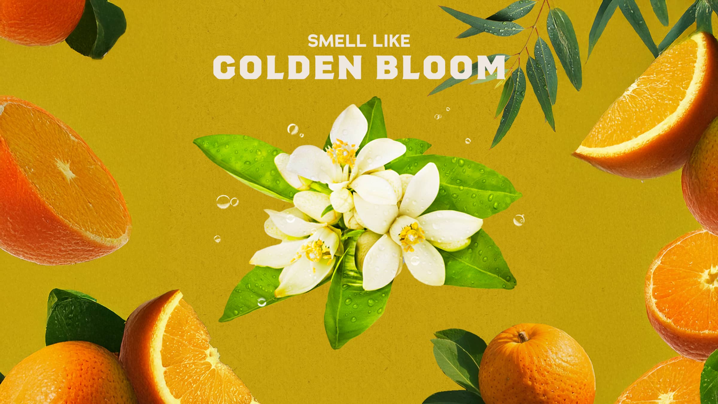 14 oz Mountain Meadow Body Wash - Good Smells Start Here