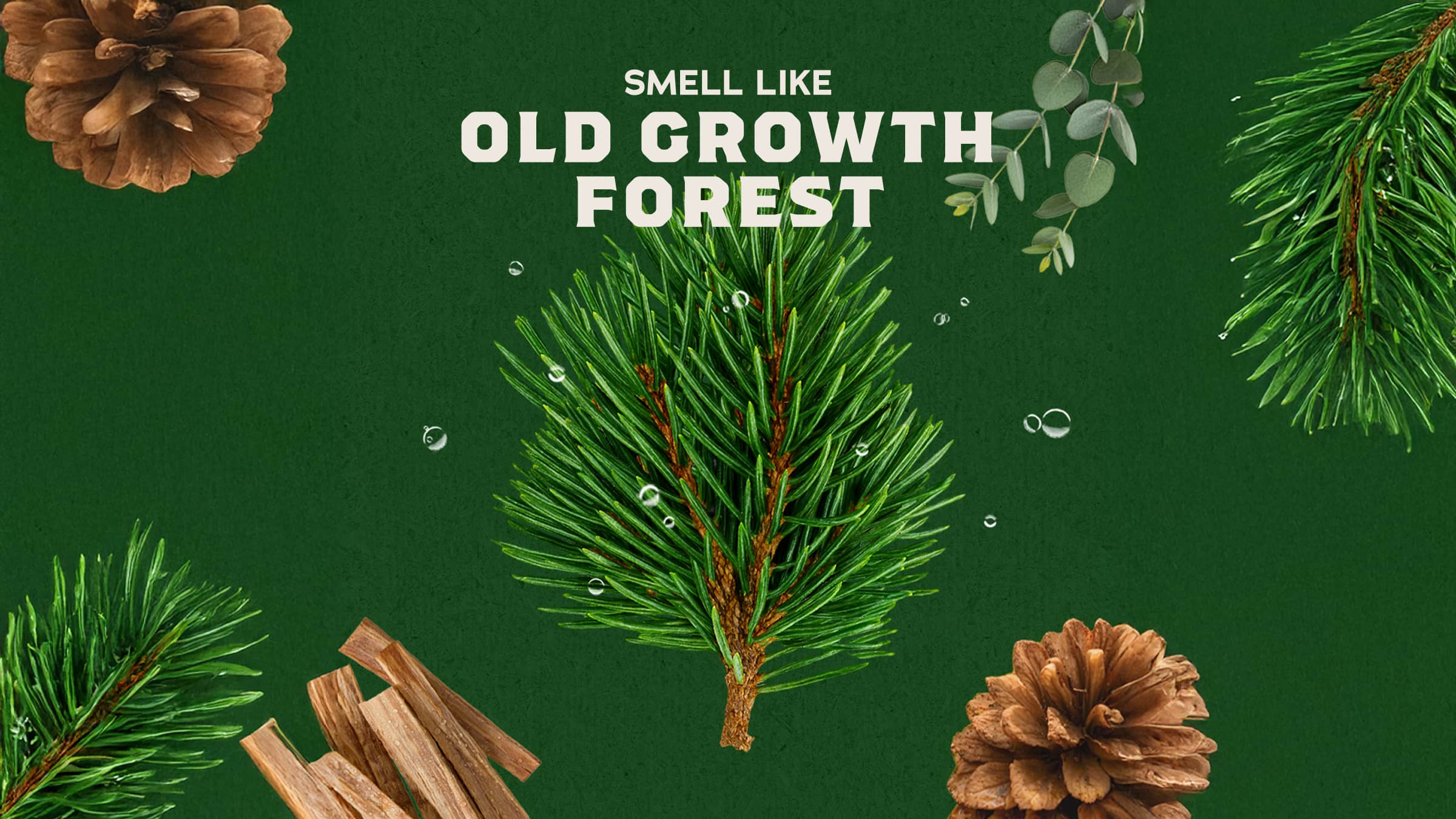 14 oz Pine Tar Exfoliating Body Wash - Soap That Gets It Done