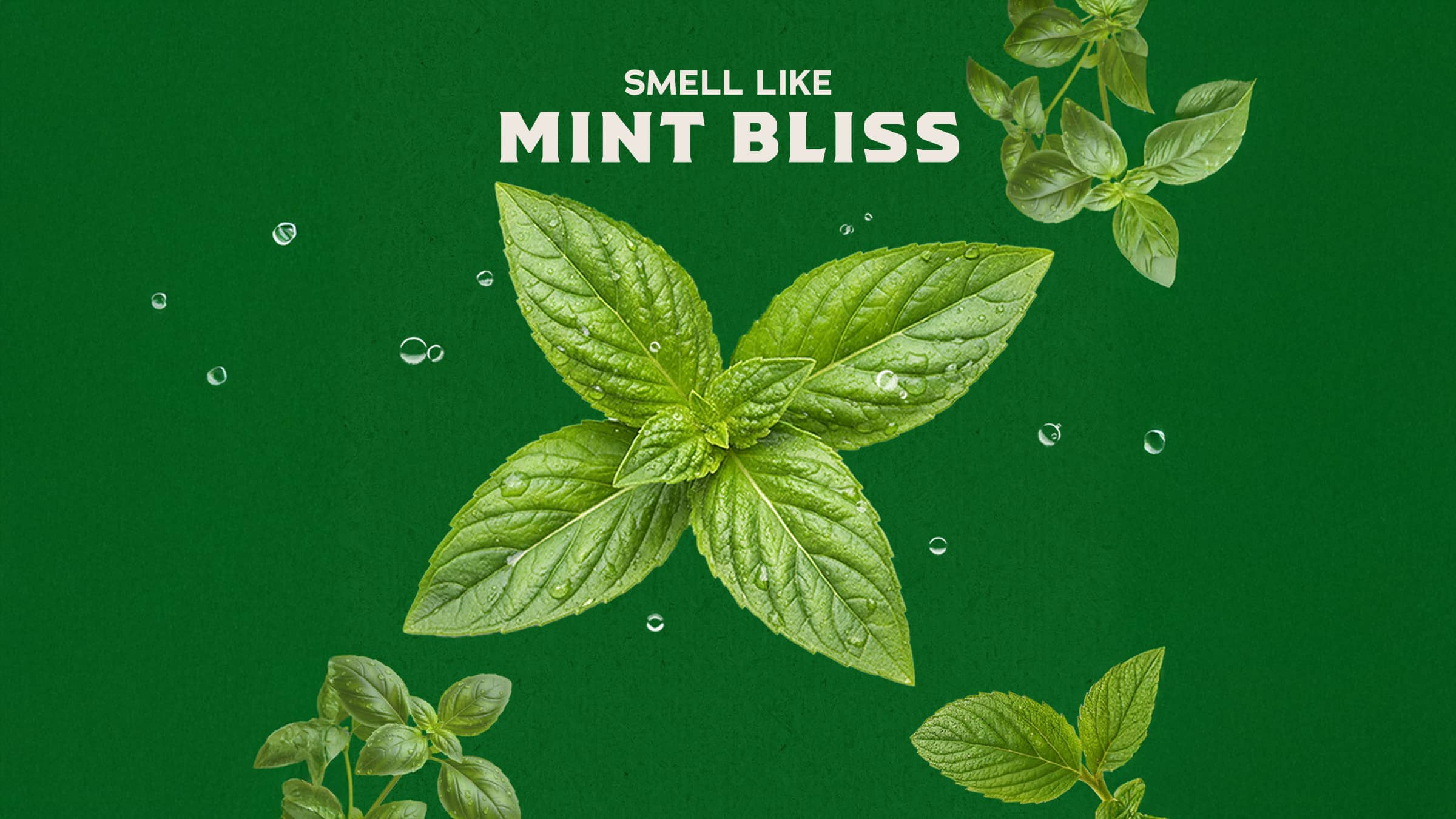 Spearmint Basil - Freshen Your Shower Game