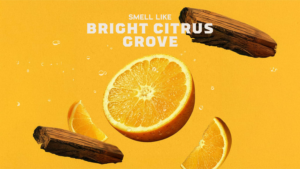 Summer Citrus Hand Soap - Smell Like Fresh Air
