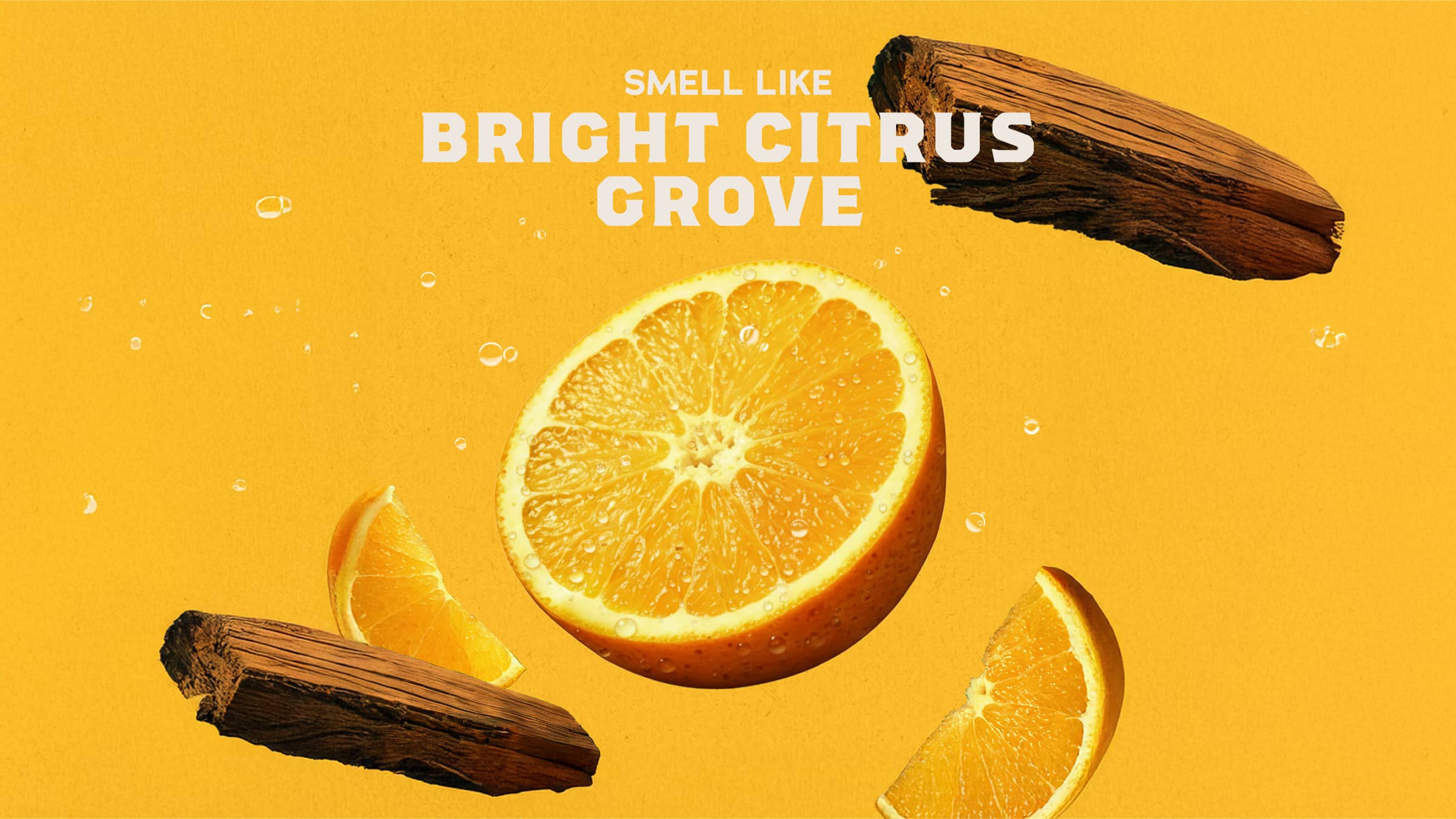 Summer Citrus Invisible Glide Deodorant - Freshen Up Before You Go